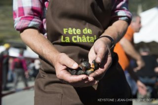 Pour cette 30e édition, 12 tonnes de châtaignes ont été prévues.