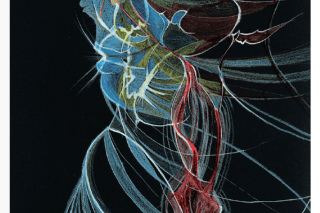 Tiffany Morard - Pensum