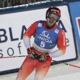 Dénouement cruel pour Loïc Meillard dans la nuit de Schladming.