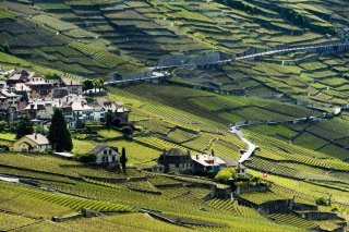 Les terrasses du Lavaux, paysage viticole vaudois emblématique. KEYSTONE/JEAN-CHRISTOPHE BOTT