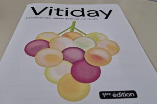 WhatsApp Image 2025-05-04 at 09.59.53