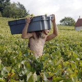 Le vin vendu à Beaune, des primeurs, ne sera pas livré avant juin 2027, après avoir été élevé sur place (archives). KEYSTONE/AP/PATRICK GARDIN