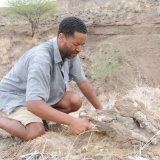 Le pied avait été découvert à Burtele, dans le nord-est de l'Ethiopie, en 2009 (cliché symbolique/Keystone archives). KEYSTONE/AP Dikika Research Project