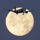 Jusqu'à 680 A320 pourraient être concernés par des problèmes de construction, selon Airbus. KEYSTONE/AP/Armando Franca