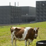 En 2022, le conteneur à café incriminé est parvenu jusqu'à Romont (FR), chez Nespresso. Des trafiquants de drogue y avaient placé 500 kg de cocaïne. Les trois hommes condamnés jeudi avaient tenté en vain de retirer la drogue au terminal de transfert modal à Frenkendorf/BL (photo symbolique). KEYSTONE/JEAN-CHRISTOPHE BOTT