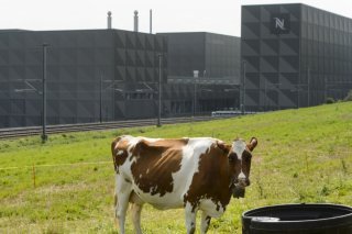 En 2022, le conteneur à café incriminé est parvenu jusqu'à Romont (FR), chez Nespresso. Des trafiquants de drogue y avaient placé 500 kg de cocaïne. Les trois hommes condamnés jeudi avaient tenté en vain de retirer la drogue au terminal de transfert modal à Frenkendorf/BL (photo symbolique). KEYSTONE/JEAN-CHRISTOPHE BOTT