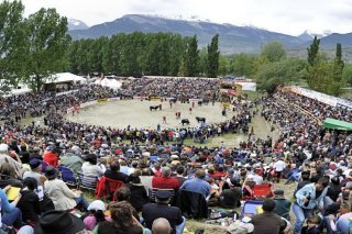 Les grands combats de reines publics ne sont pas pour demain