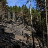 La situation s'est stabilisée à Bitsch, trois semaines après le début de l'incendie de forêt