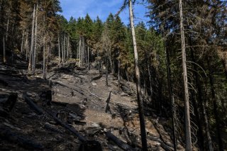 La situation s'est stabilisée à Bitsch, trois semaines après le début de l'incendie de forêt