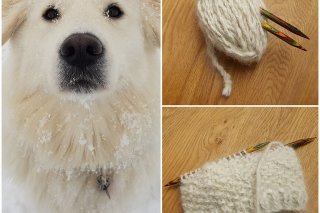 84111334_121844879348968_3597919040439320576_o