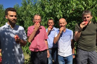 d9cb4e95-935f-4fc7-8ff1-df01e43a8e99