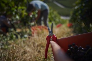 NES_2083-min-1800x1200