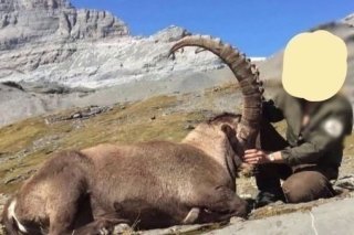 sotdwzqstgeksws-800x450-nopad-1