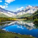 La végétation alpine devient de plus en plus verte. (image d'illustration)