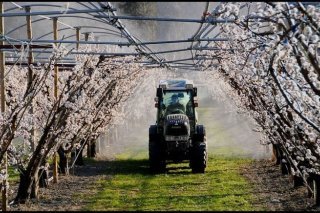 Une réunion des députés romands du milieu agricole a eu lieu à Châteauneuf. (image d'illustration)