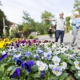 Pour son 50e anniversaire, le Centre de formation professionnelle nature et environnement de Lullier (GE) ouvrira ses portes les 21 et 22 septembre (archives). KEYSTONE/YANNICK BAILLY