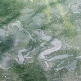 Des barrages anti-pollution ont été installés après un déversement de mazout à Péry (BE) dans la Suze et jusqu'au lac de Bienne (image symbolique). Keystone/PATRICK B. KRAEMER