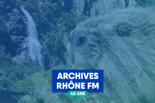 Le castor de la Pissevache