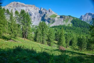 Alpage de Serin le 13 août 2024,Dix ans de promotion de la biodiversité et du paysage en Valais, en présence de Brigitte Decrausaz, cheffe de l’office des paiements directs, service de l’agriculture, Michael Roux, ingénieur forestier, service de la forêt Stàphane Cotter Président du Consortage de l’alpage de Serin.