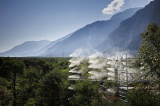Les scientifiques mesurent les effets de la sécheresse du sol et de l'air sur les arbres forestiers dans le contexte du changement climatique