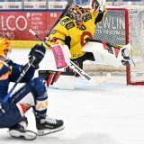 Dominik Kubalik bat le gardien du CP Berne Philip Wüthrich. KEYSTONE/POSTFINANCE/Andrea Branca