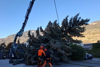Préparation pour la pose à l'horizontale sur la semi-remorque pour le transporter vers le Coude du Rhône