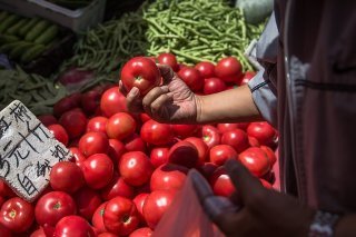 Le Xinjiang, jouissant d'un climat propice à la culture de la tomate, représente un tiers de la production mondiale des tomates (image d'illustration). KEYSTONE/EPA/ROMAN PILIPEY