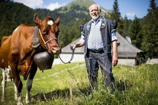 Décédé samedi, Raoul Colliard avait sélectionné plusieurs dizaines de vaches pour la dernière Fête des vignerons (archives). KEYSTONE/JEAN-CHRISTOPHE BOTT