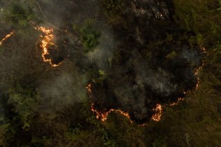 Si la sécheresse a contribué à favoriser la vague d'incendies, la plupart des feux ont été allumés délibérément pour défricher des terres à des fins agricoles, selon des experts. KEYSTONE/EPA EFE/RAPHAEL ALVES