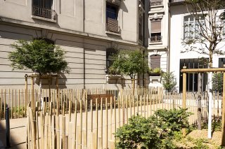 La Ville de Genève poursuit la végétalisation de ses cours intérieures. Aux Pâquis, une cour de la rue Philippe-Plantamour a été réaménagée l'été dernier (archives). KEYSTONE/SALVATORE DI NOLFI