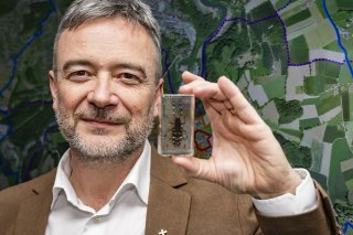Dominique Schaller, chef du Service des forêts et de la nature du canton de Fribourg, pose avec un capricorne asiatique lors du point presse organisé à Marly. KEYSTONE/JEAN-CHRISTOPHE BOTT