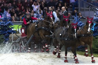 Jérôme Voutaz et ses chevaux en action lors de l'une de leurs participations au CHI de Genève.