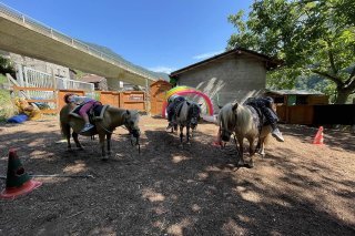Un cours de Pédagogie équine à Martigny.