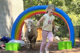 Un cours de Pédagogie équine à Martigny.