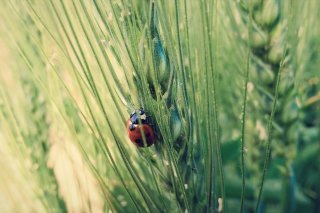 sohail-sarwar-DwAsNMOM0hQ-unsplash