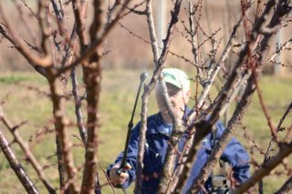 De moins en moins de produits à disposition : pour les producteurs de fruits et légumes la pression est énorme.