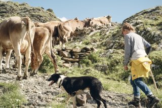 Les conjoints actifs dans l'agriculture doivent être mieux protégés (image prétexte). KEYSTONE/ROLAND SCHMID