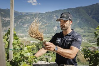 Loïc Meillard a traité la vigne à Farinet, mardi après-midi sur les hauteurs de Saillon. KEYSTONE/Valentin Flauraud