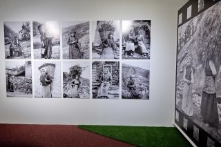 Apprivoiser un chien, traire une vache, guider un mulet… Autant de gestes qui racontent une longue histoire entre humains et animaux.