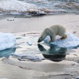 L'Arctique, qui englobe le pôle Nord, est touché par un phénomène appelé "amplification", qui fait qu'elle se réchauffe plus vite que les latitudes moyennes (archives). KEYSTONE/PHOTOPRESS/WWF INTERNATIONAL