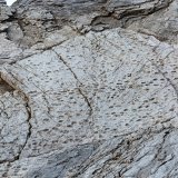 Sur cette photographie prise en septembre 2025 et diffusée mardi par le parc national du Stelvio, on distingue des empreintes de prosauropodes datant du Trias supérieur sur les pentes de la vallée de Fraeel, dans le nord de l’Italie. KEYSTONE/AP/Elio Della Ferrera