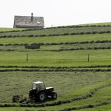 Le National veut accélérer l'homologation des pesticides (archives). KEYSTONE/ARNO BALZARINI
