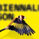 Après une première édition de six semaines, la Biennale Son s’étire cette année sur treize.