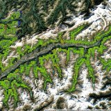 La vue des forêts valaisannes situées au-dessus de 1200 mètres, par dates, grâce à l'outil Google Earth Engine.