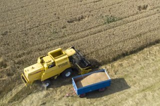 La rénovation complète du centre collecteur d'Echallens doit permettre le traitement rapide et le stockage d'environ 20'000 tonnes de graines par an (image prétexte). KEYSTONE/SALVATORE DI NOLFI
