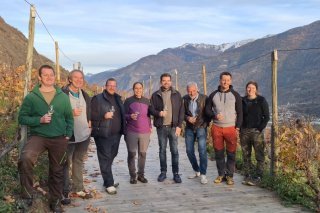 Mardi à Fully, la vendange tardive a été menée main dans la main avec des acteurs clés du monde viticole cantonal et national.