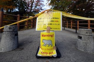 Des mises en garde ont été émises contre la présence d'ours dans certaines zones du Japon (image d'illustration). KEYSTONE/EPA/FRANCK ROBICHON