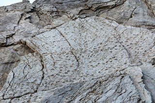 Sur cette photographie prise en septembre 2025 et diffusée mardi par le parc national du Stelvio, on distingue des empreintes de prosauropodes datant du Trias supérieur sur les pentes de la vallée de Fraeel, dans le nord de l’Italie. KEYSTONE/AP/Elio Della Ferrera