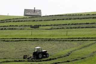 Le National veut accélérer l'homologation des pesticides (archives). KEYSTONE/ARNO BALZARINI
