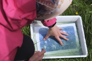 Quand montagne, science et art sont complémentaires